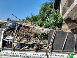 Shed Removal in Mcgaheysville, VA